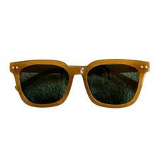 TAYLOR SUNGLASSES [OCHRE]